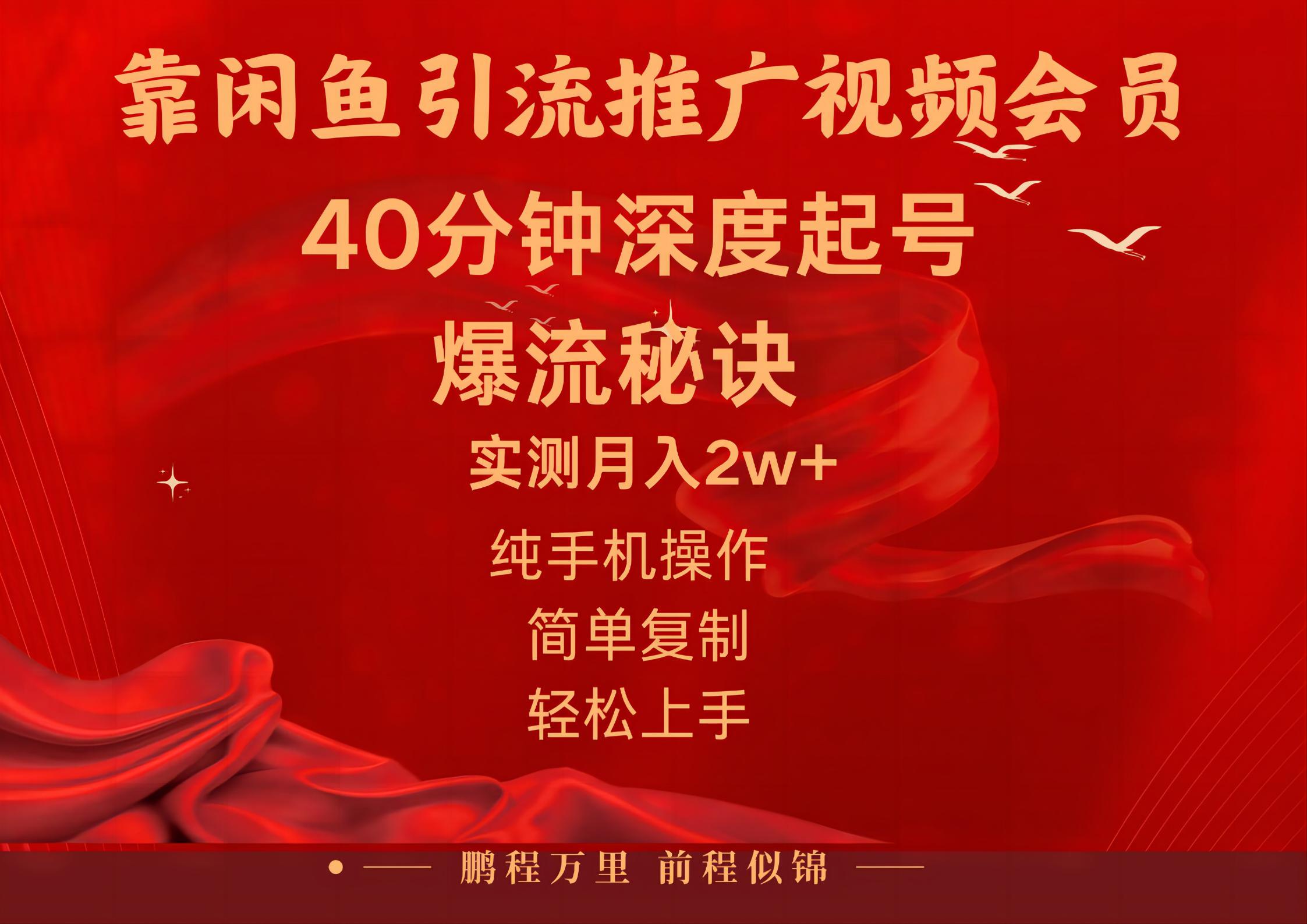 【第7817期】闲鱼暴力引流推广视频会员，能做到日入2W+，操作简单